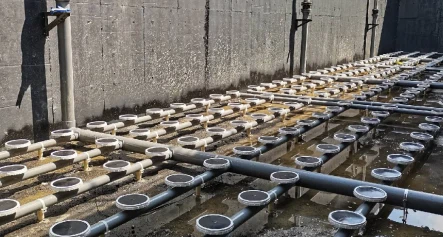 aeration disc Membrane clogging juntai aeration disc Membrane clogging juntai